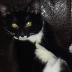 Meet your Posher, Marissa